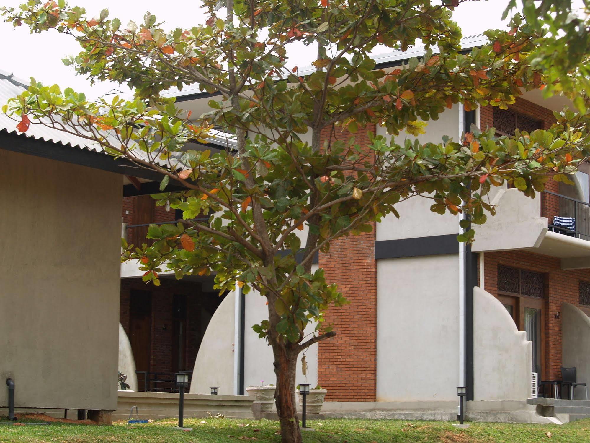Welimaluwa Resort Sigiriya Kibissa Εξωτερικό φωτογραφία